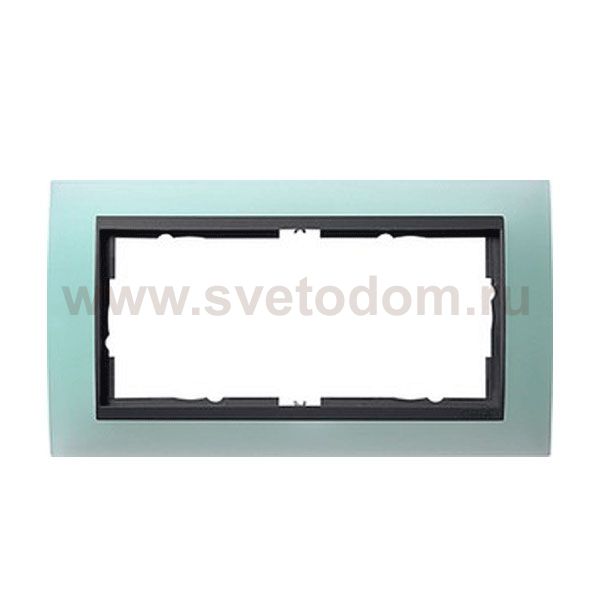 Gira EV Матово-зелёный/антрацит Рамка 2-ая без перегородки (G100285)