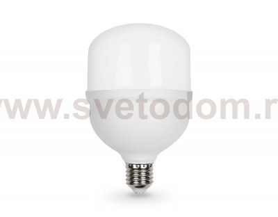 1003006 LED T100 30W IC E27-E40 6400K 175-265V