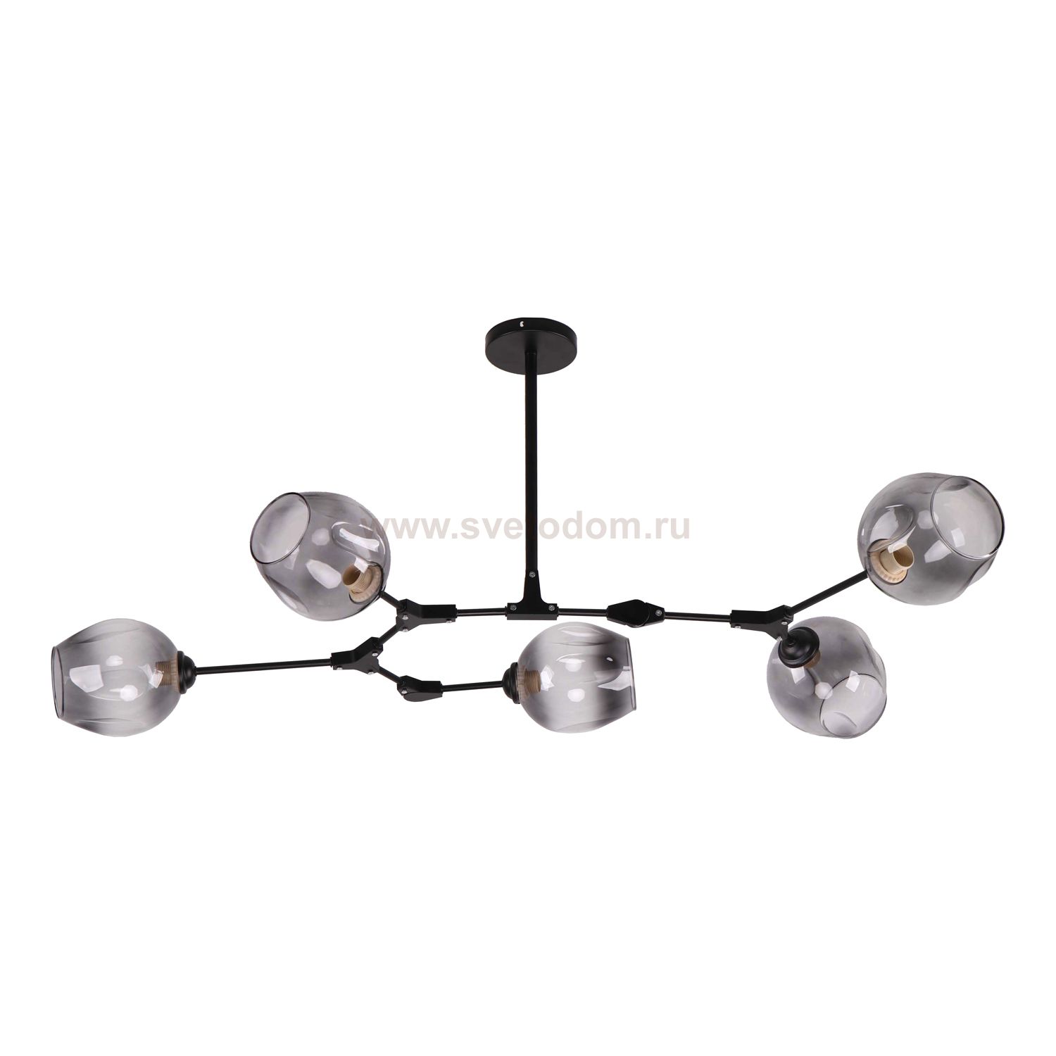 Потолочный светильник Экономсвет 10039/5BK SM