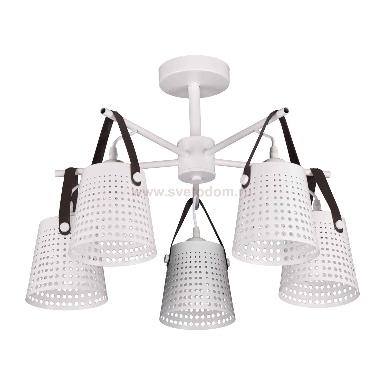 Люстра современная Экономсвет 10055/5WT WT