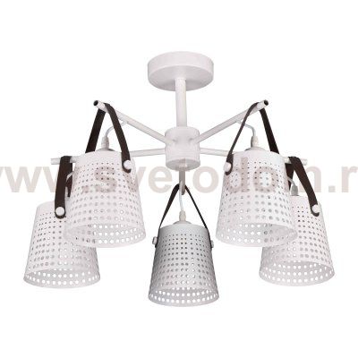 Люстра современная Экономсвет 10055/5WT WT