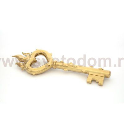 Аксессуар Passion Key