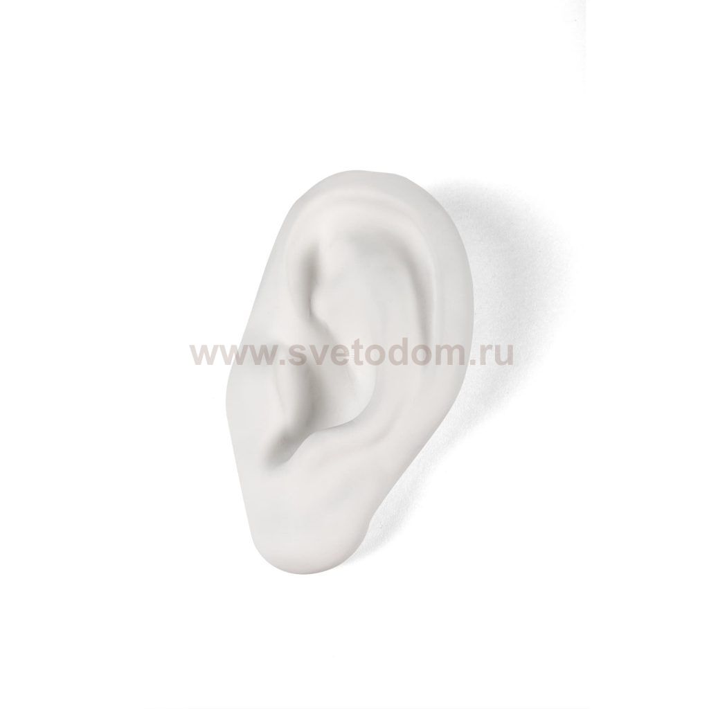 Статуэтка Memorabilia Mvsevm Ear