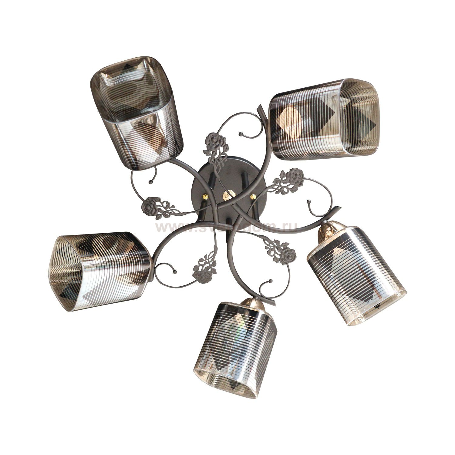 Потолочный светильник Экономсвет 10101/5BK AMB+BK