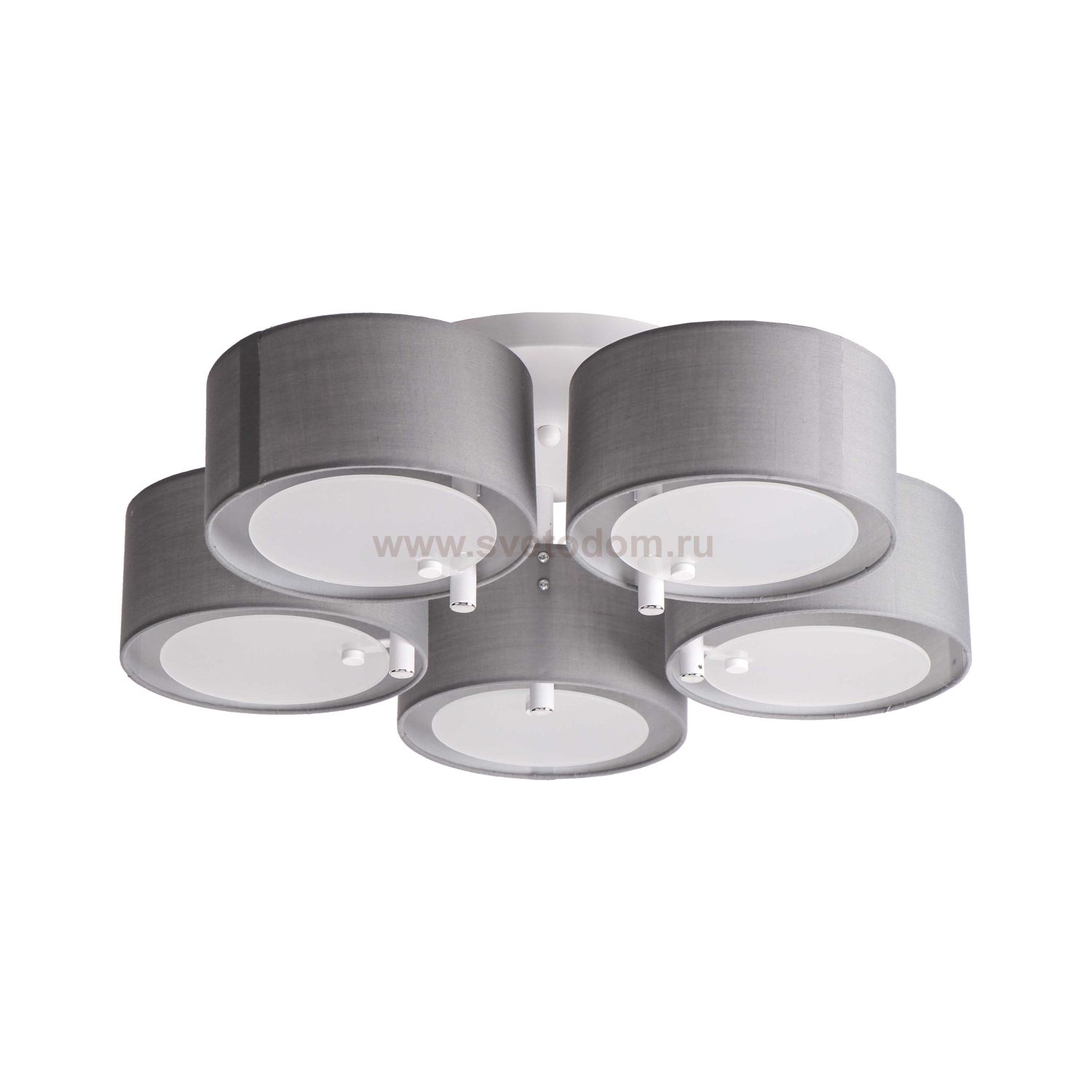 Люстра современная Экономсвет 10105/5WT GR