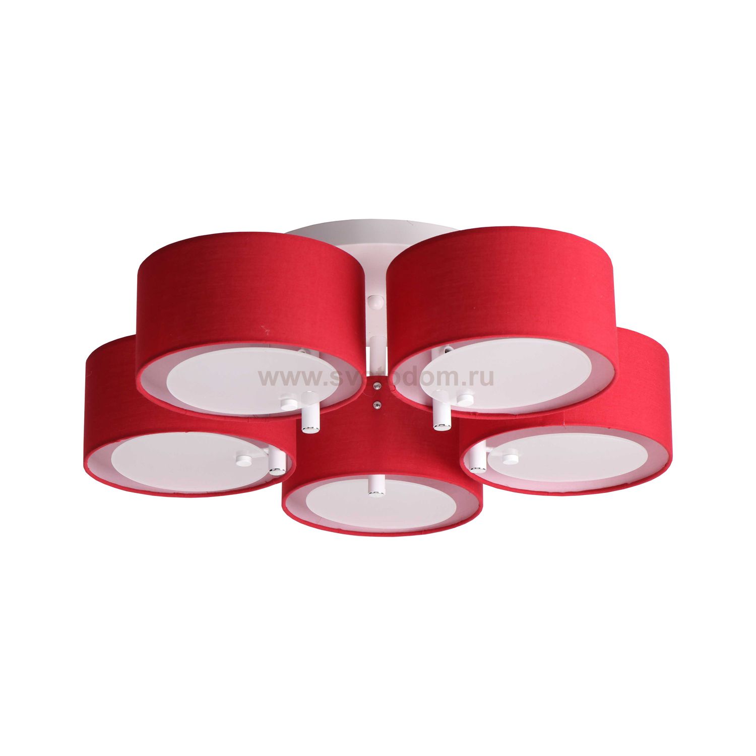 Люстра современная Экономсвет 10105/5WT RD