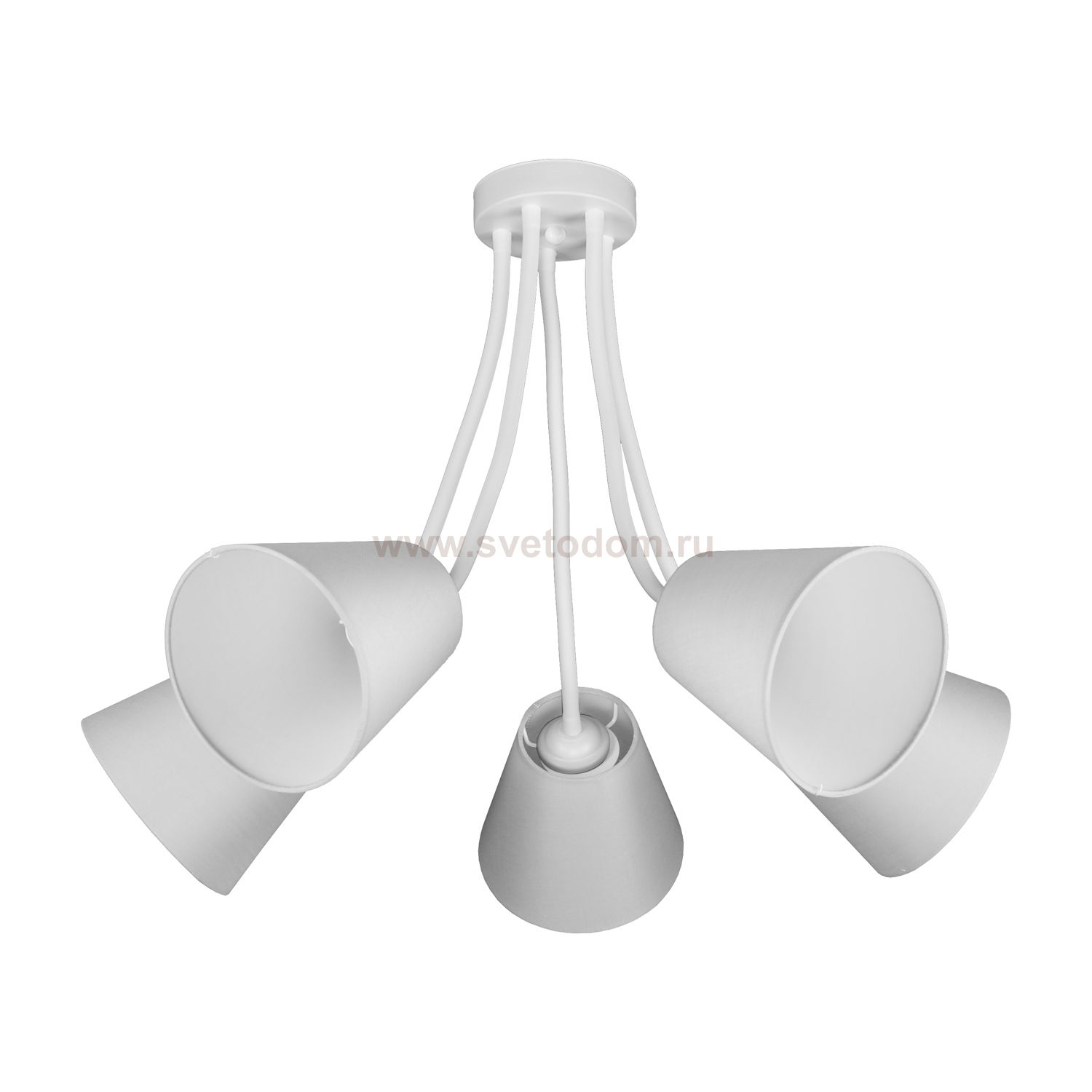 Люстра современная Экономсвет 10119/5WT WT