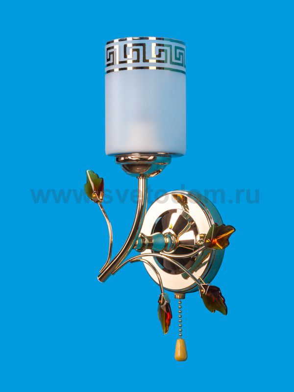 Настенный светильник 1011/1wFGD WT Экономсвет