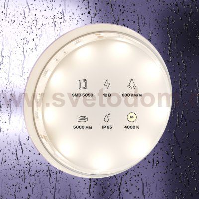 Светодиодная лента 12В Maytoni 10124