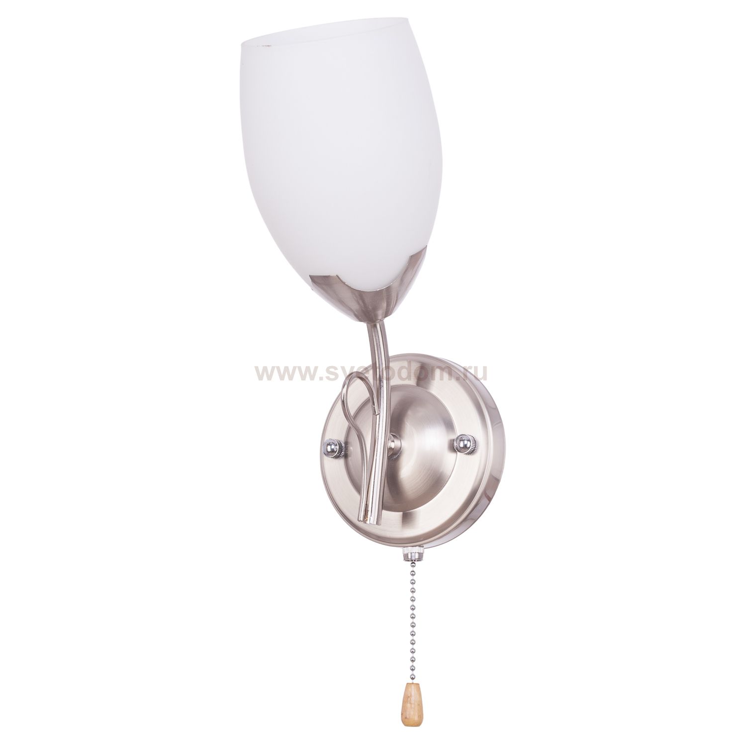 Светильник ЭкономСвет 10125/1wSN MK