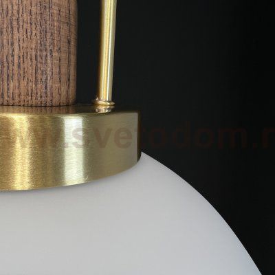 Подвесной светильник Arc Globe Полусфера D25 ImperiumLoft 101295-26