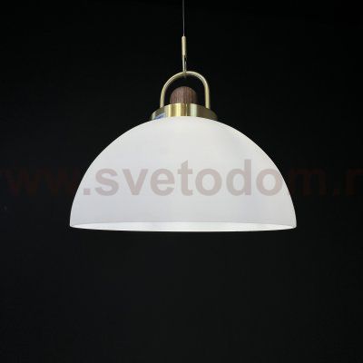 Подвесной светильник Arc Globe Полусфера D25 ImperiumLoft 101295-26