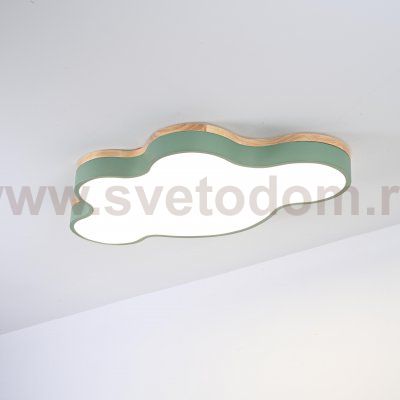 Потолочный светильник CLOUD ECO D63 Green ImperiumLoft 101450-26