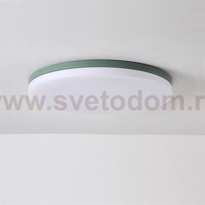 Потолочный светильник DISC HALF D26 Green ImperiumLoft 101525-26