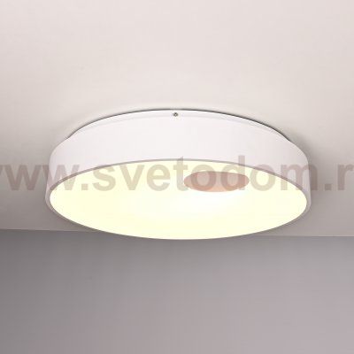 Потолочный светильник ECLA D57 ImperiumLoft 101547-26
