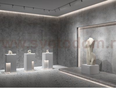 Светодиодная лента 24В Maytoni 10161