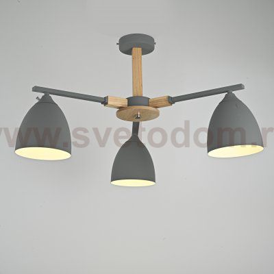 Потолочная люстра NOA 3 Gray by ImperiumLoft ImperiumLoft 101838-26