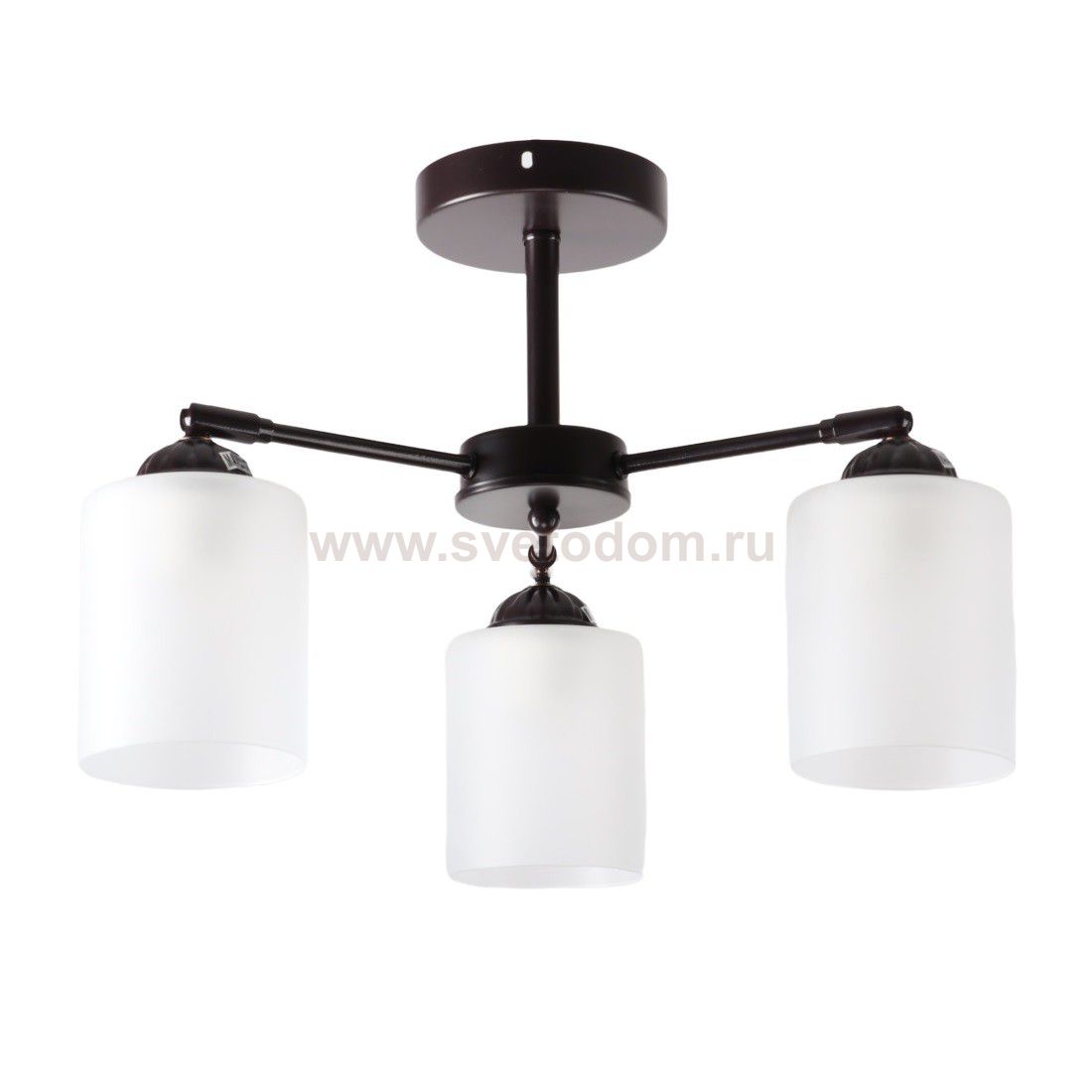 Светильник в стиле модерн 10196/3BR WT Экономсвет