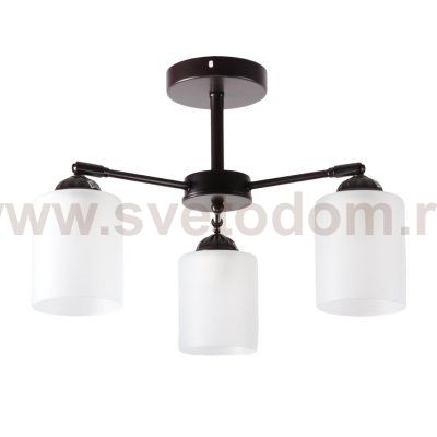Светильник в стиле модерн 10196/3BR WT Экономсвет