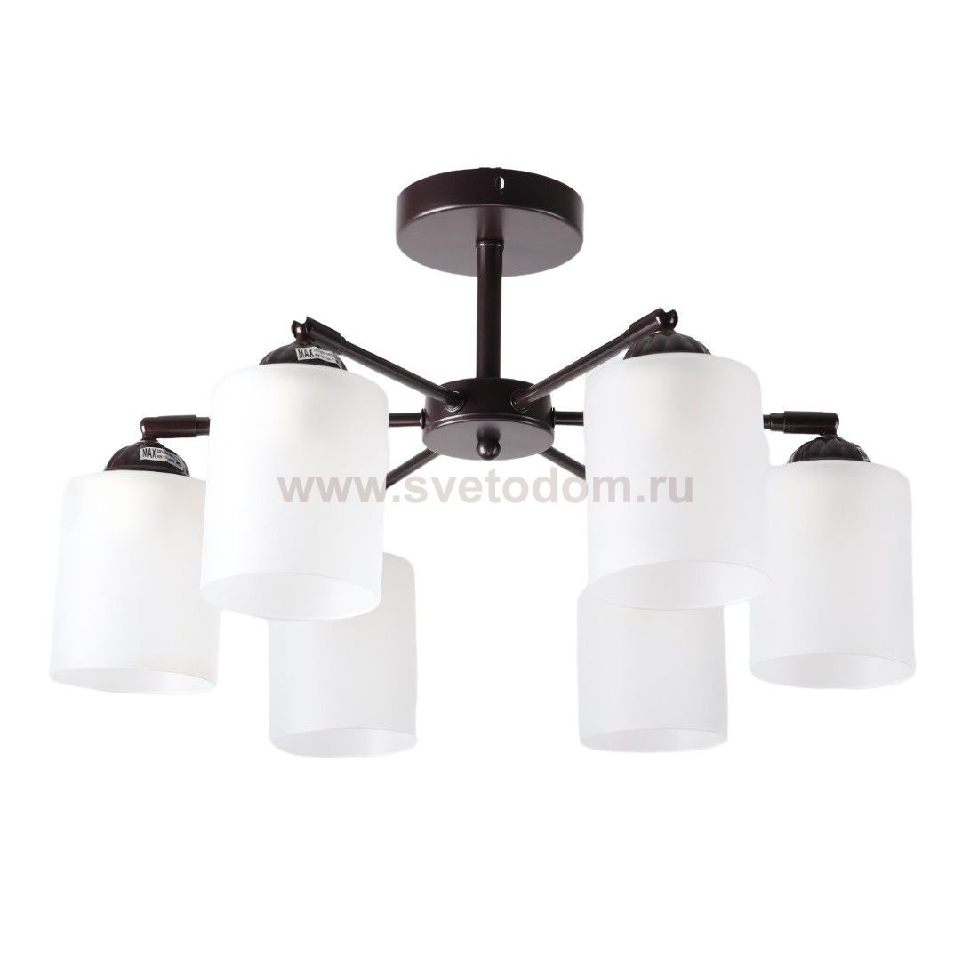 Светильник в стиле модерн 10196/6BR WT Экономсвет