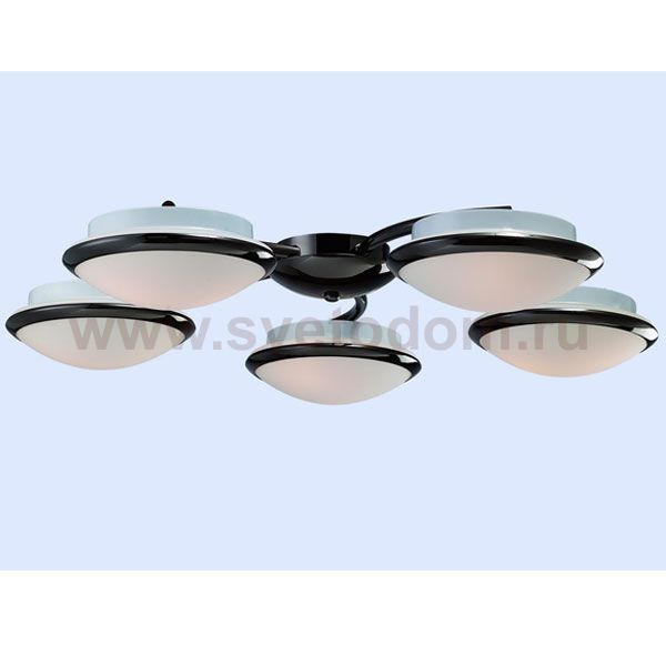 Потолочная люстра Favourite 1020-10U Galaxy