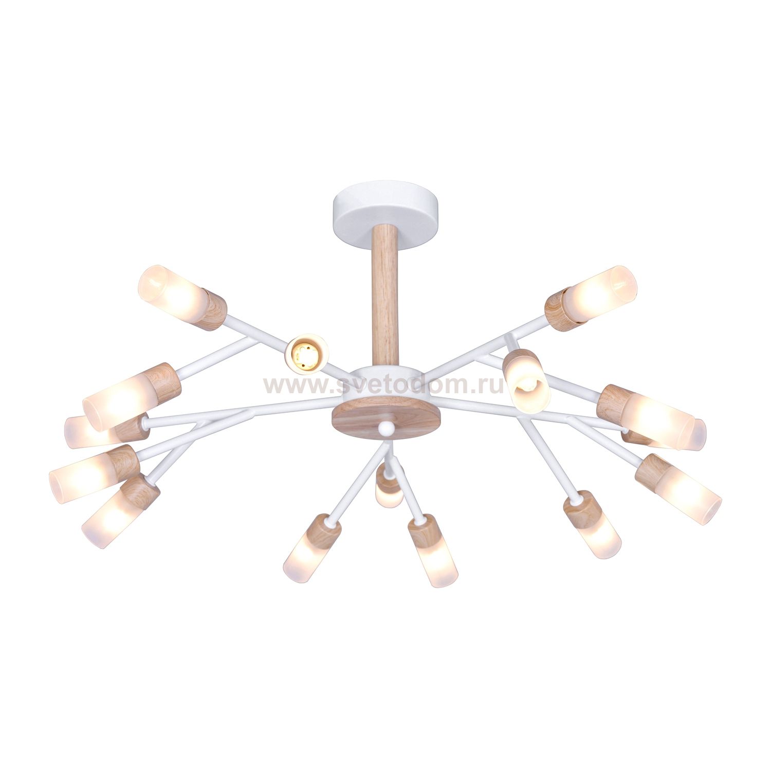 Потолочный светильник 10209/15WT+WD WT Экономсвет