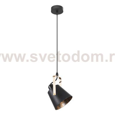 Подвесной светильник Экономсвет 10223/1P BK+FG BK