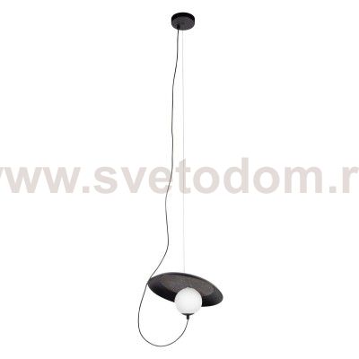 Подвесной светильник Wonders Loft It (Light for You) 10237P Black 