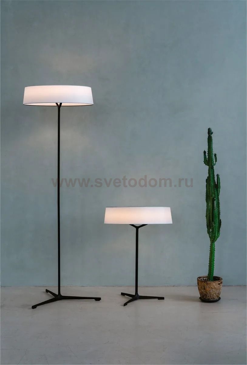Торшер Divinare ALMA 1029/06 PN-11