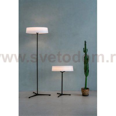 Торшер Divinare ALMA 1029/06 PN-11