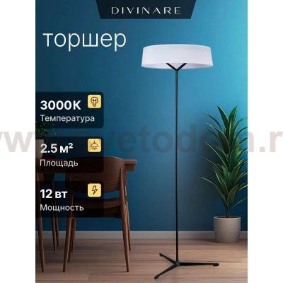 Торшер Divinare ALMA 1029/06 PN-11