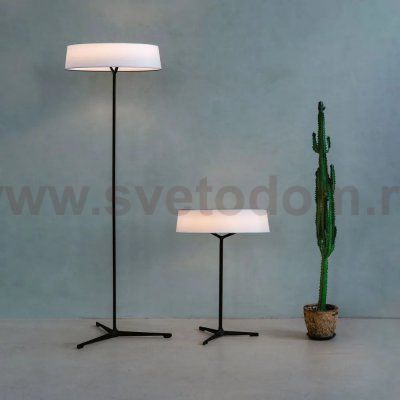 Декоративная настольная лампа Divinare ALMA 1029/06 TL-11