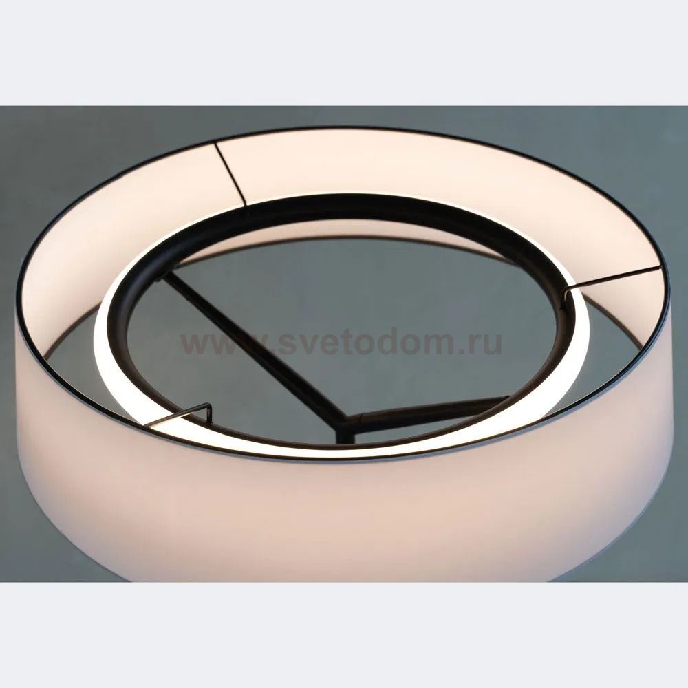 Декоративная настольная лампа Divinare ALMA 1029/06 TL-11