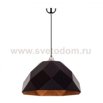 Подвесной светильник Spot Light Rich 1030758