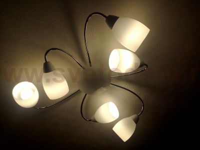 Люстра Favourite 1042-6U Blanca