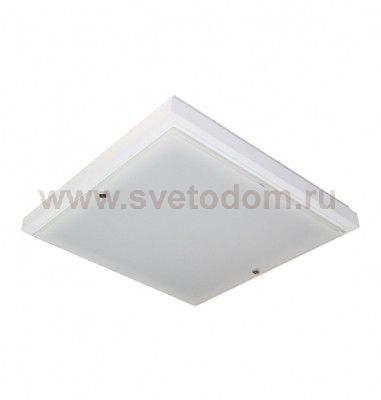 Светильник Дубравия 106-11-24/2 ПОЛИНА