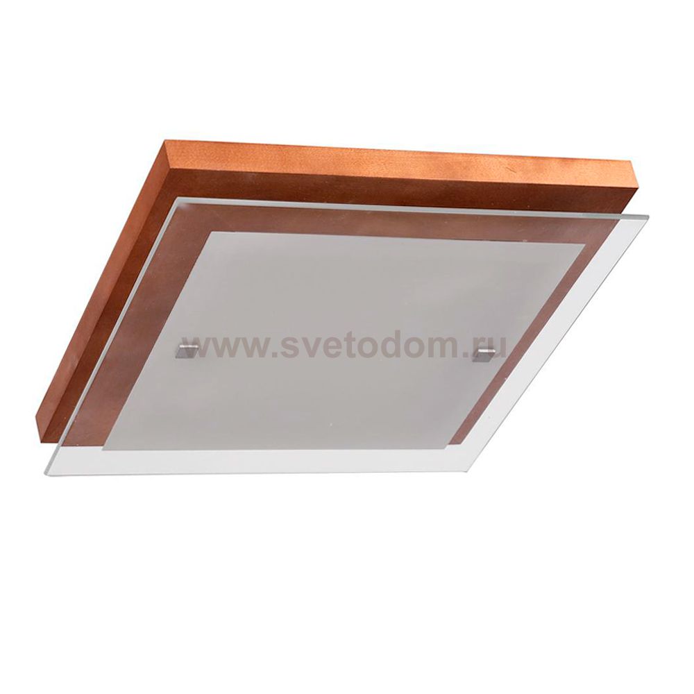 Светильник Дубравия 106-21-22/1H