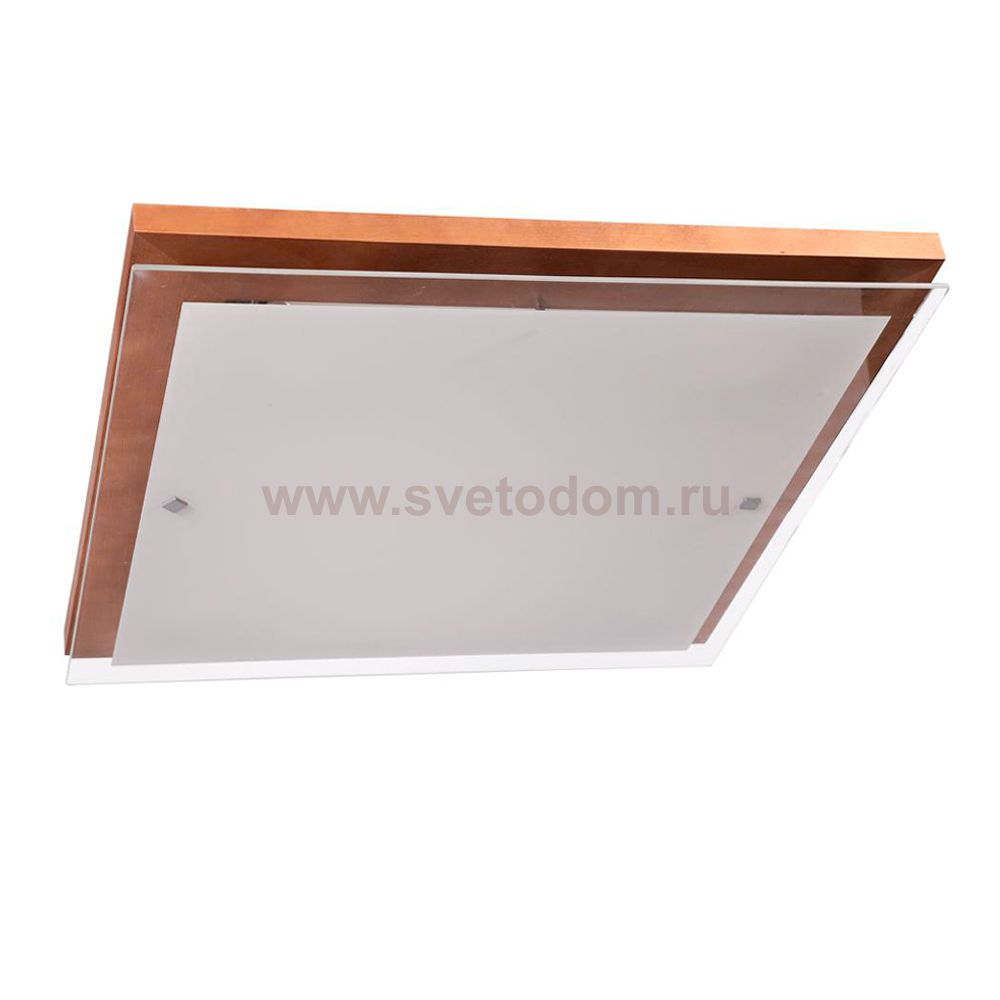 Светильник Дубравия 106-21-24/3H