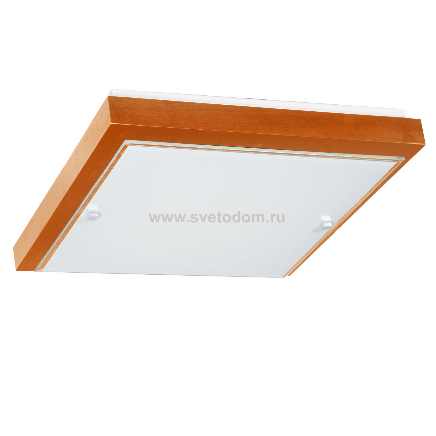 Светильник Дубравия 106-21-24/2 ПОЛИНА