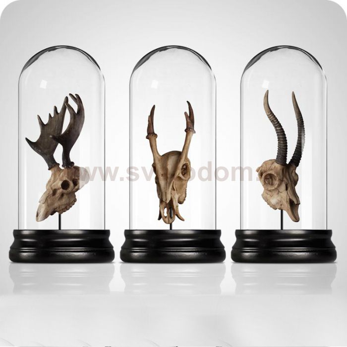 Аксессуар Exhibit