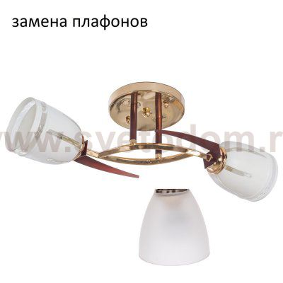 Потолочный светильник 10785/2FG+BR WT ЭкономСвет