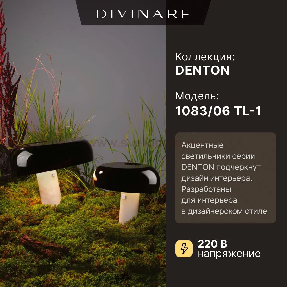 Декоративная настольная лампа Divinare DENTON 1083/06 TL-1
