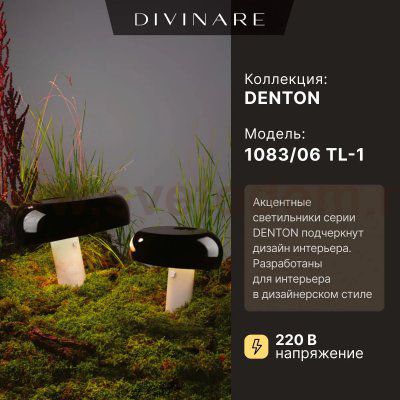 Декоративная настольная лампа Divinare DENTON 1083/06 TL-1