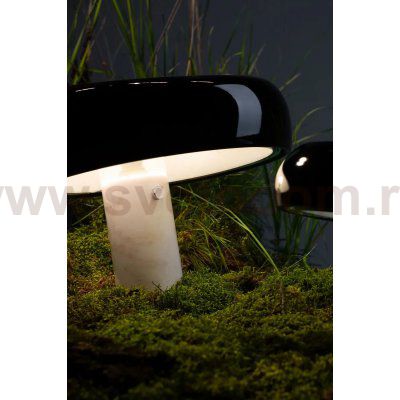 Декоративная настольная лампа Divinare DENTON 1083/06 TL-1