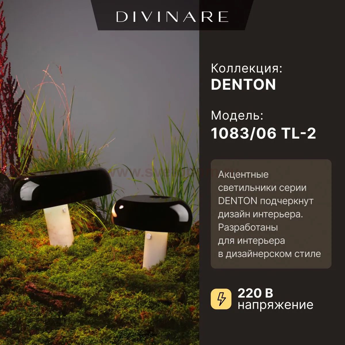 Декоративная настольная лампа Divinare DENTON 1083/06 TL-2