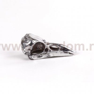 Статуэтка Wunderkammer Bird Skull