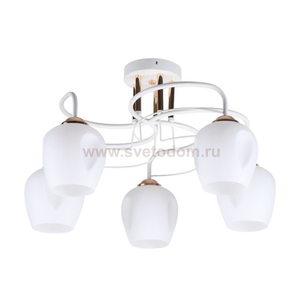 Люстра классическая 11030/5FGD+WT WT Экономсвет