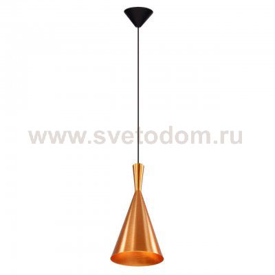 Подвесной светильник Spot Light Vicky 1108105