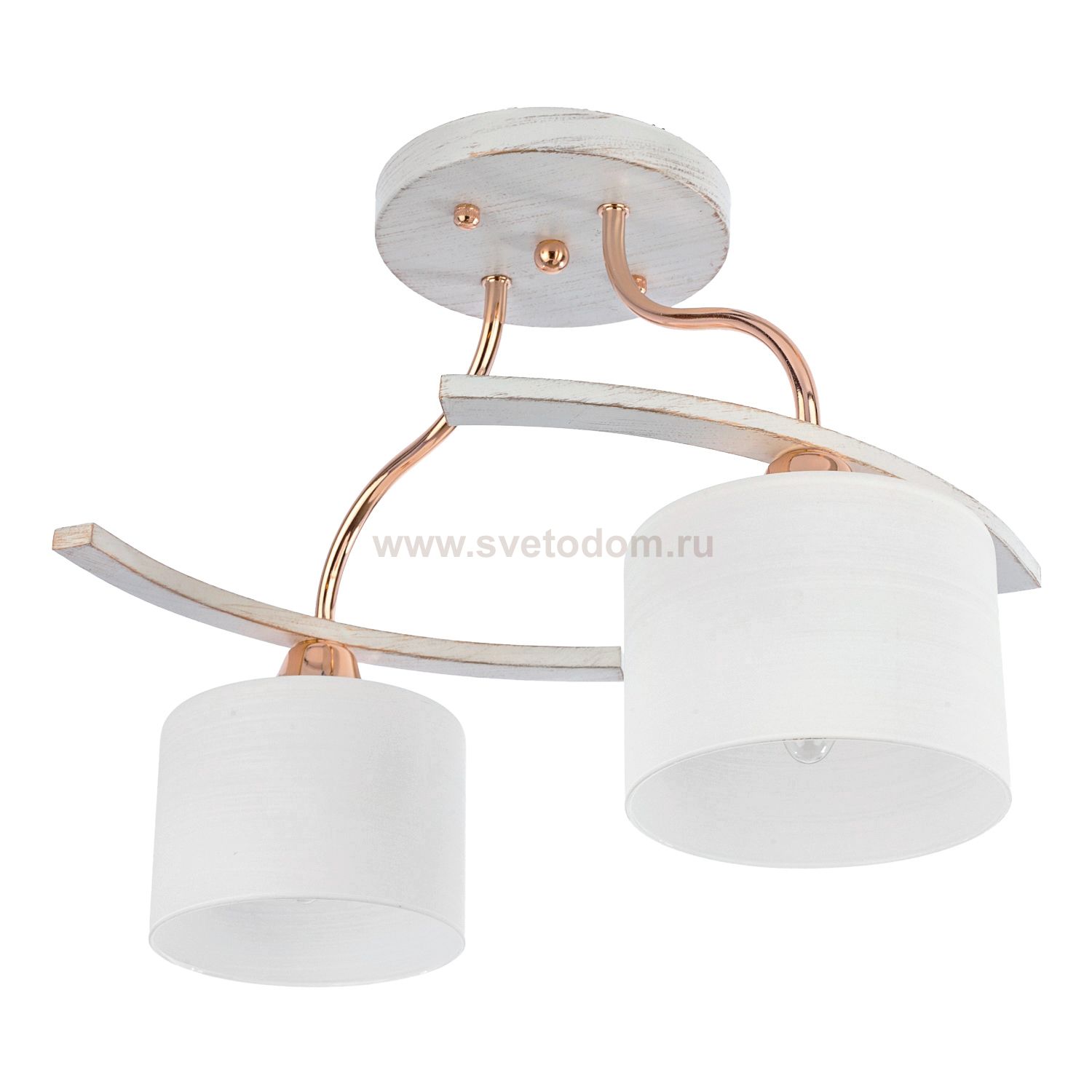 Потолочный светильник Экономсвет 11106/2A FGD+WT WT