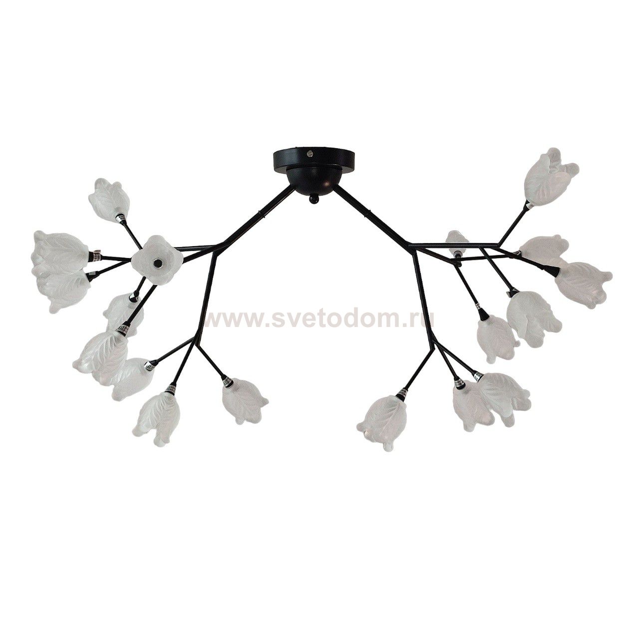 Люстра в стиле модерн 11112/18BK WT Экономсвет